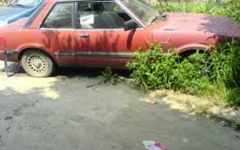 Autógazdák kerestetnek