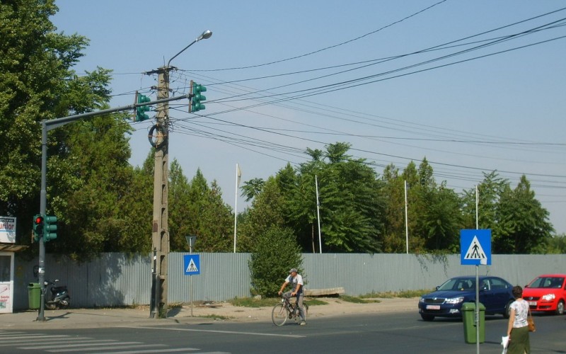 Marad az „őserdő” a volt bútorgyár helyén