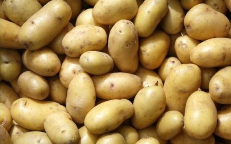 Kovásznai cég szállíthatja a krumplit az aradi fegyháznak