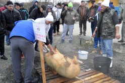 Pécskai Disznótor: a hagyomány kötelez