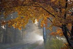 Jövő vasárnapig a Nap lesz velünk