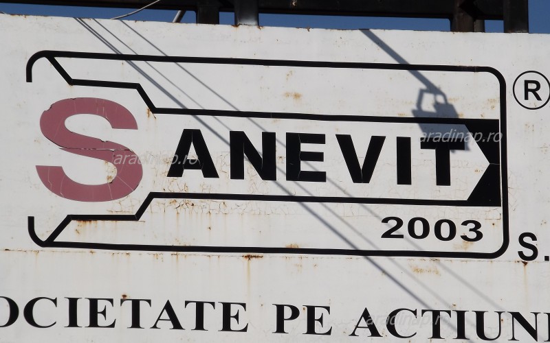Sokadik privatizélési tűhegyen a Sanevit