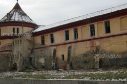 Nincs megoldás a borosjenői várra: marad a falak kitámasztása