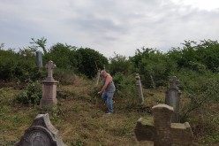 Német önkéntesek gaztalanítják a zádorlaki katolikus temetőt