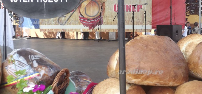 Megszentelték Pécskán az új kenyeret [VIDEÓ]