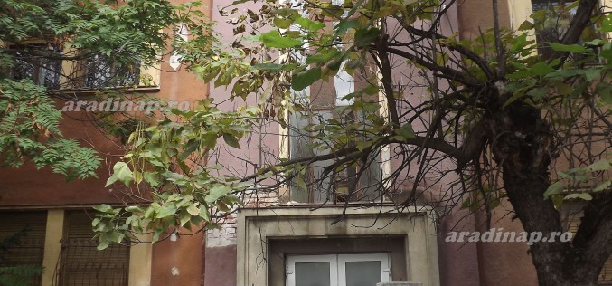 A város megveszi, hogy lebonthassa
