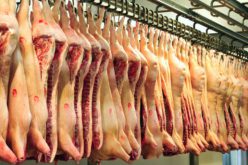 Áramvonalas disznóságok: durván drágul a sertéshús
