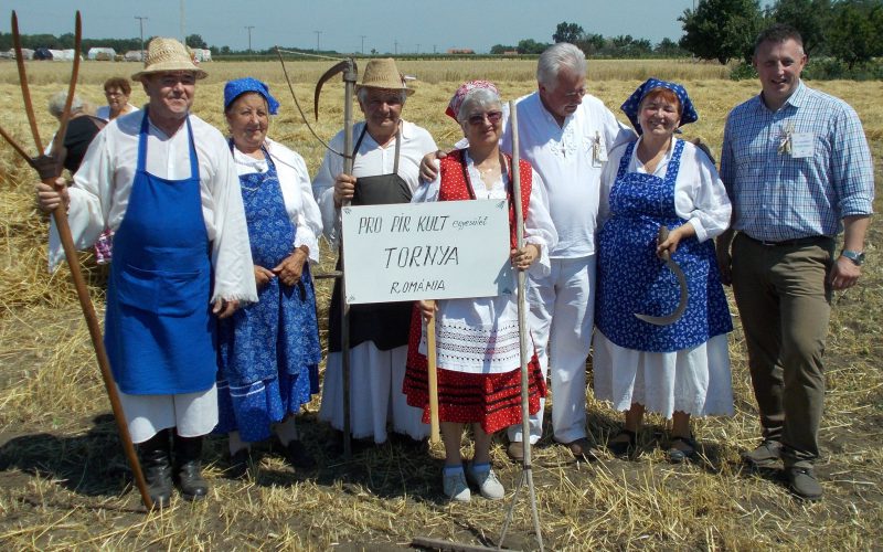 Tornya-Pécska búzát és díjakat aratott Szarvason