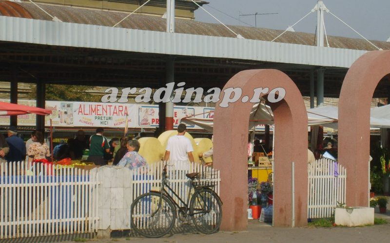 Eldőlt, hol állítják fel a Nagy Egyesülés Emlékművét