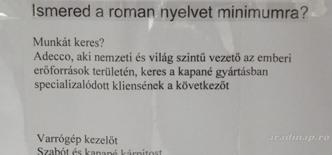 Álláskínálat: beszélni kicsit “gugli-magyar”