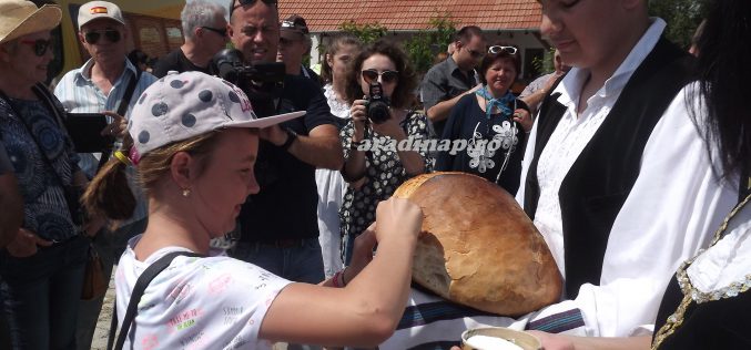 Gasztroturné: Pécska magasra tette a lécet [VIDEÓ]