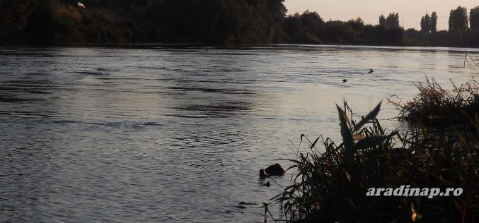 Édesanyjával sétált, és beleugrott a Marosba