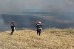 Tarlótűz Borosjenő és Selénd között