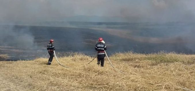 Tarlótűz Borosjenő és Selénd között