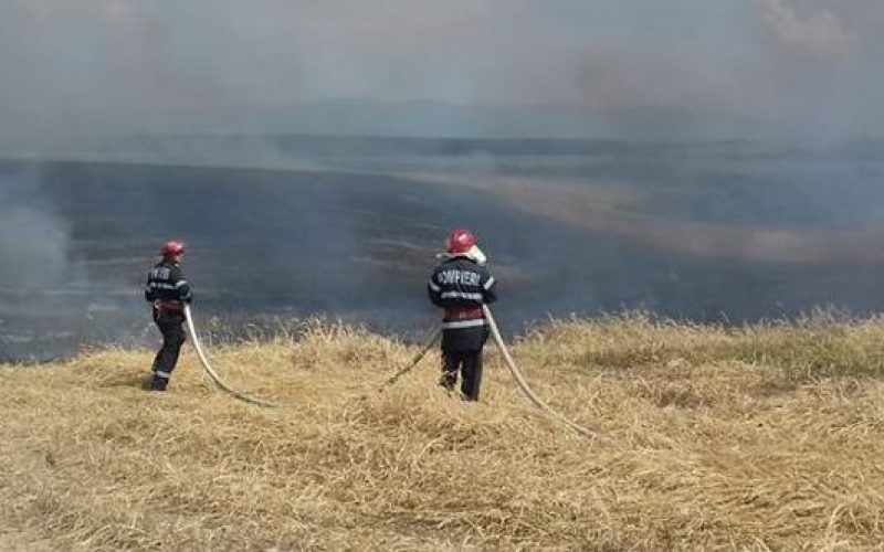 Tarlótűz Borosjenő és Selénd között