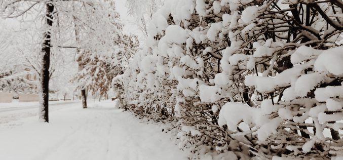 Válsághelyzet az áramszolgáltatónál: 47 település sötétben