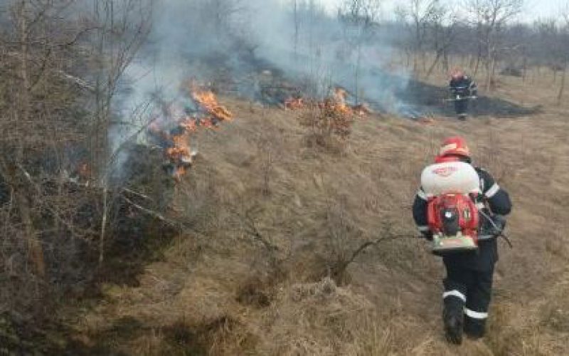 Házakat veszélyeztető tűz Borossebesben