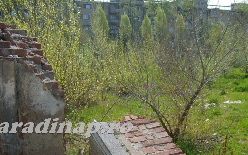 Bibarţ bekeményített: park lesz az egykori Vörös Trikó helyén és nem lakótömb