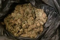 Két kilogramm cannabist árultak