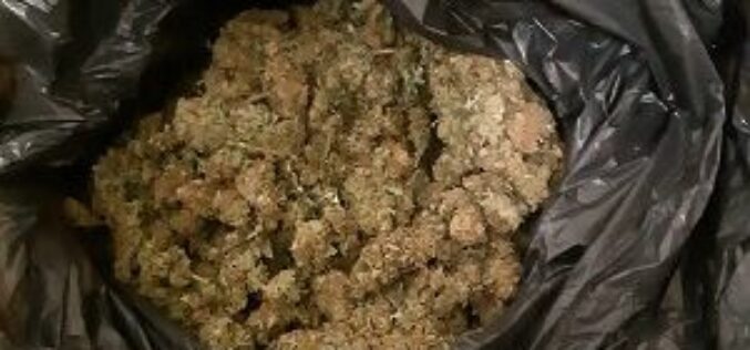 Két kilogramm cannabist árultak
