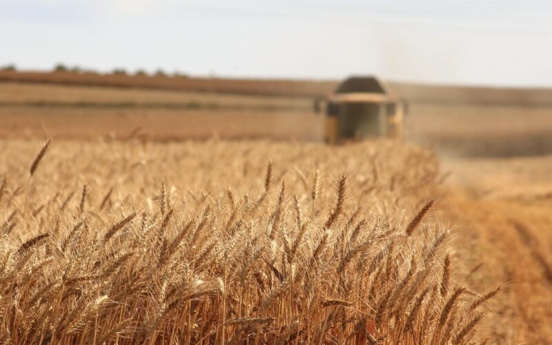 Szabálytalanságok: 71,3 millió eurót fizetnek vissza a romániai gazdák