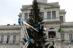 Polgi lecserélteti a Városháza előtti fenyőt