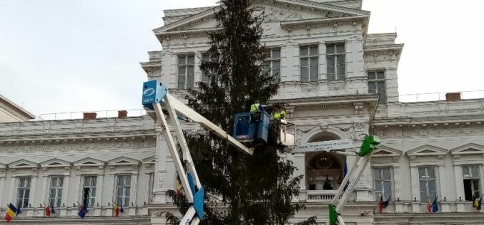 Polgi lecserélteti a Városháza előtti fenyőt