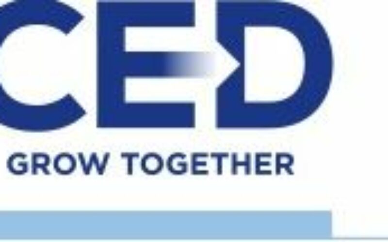 Online oktatási platformot indít a CED