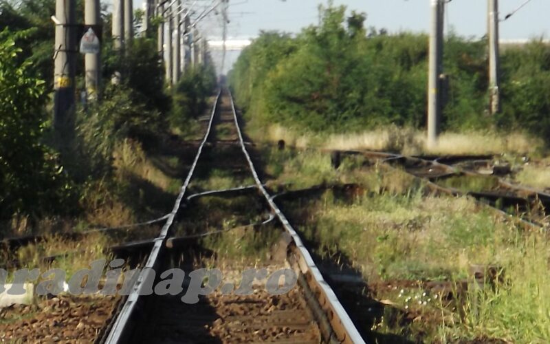 Bekerült a helyreállítási tervbe az Arad-Temesvár-Karánsebes vasútvonal