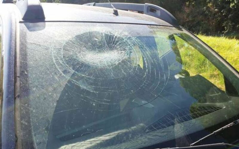 Üveggel törte be a környezetvédők gépkocsijának szélvédőjét