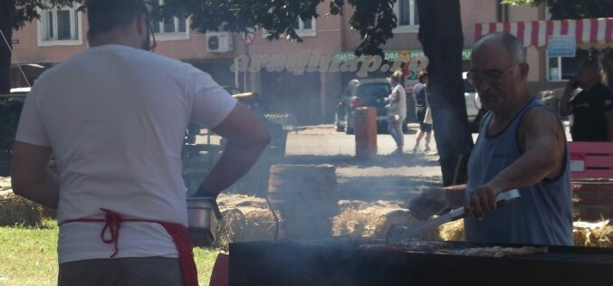 Made in Arad: harsány falunap a belvárosban