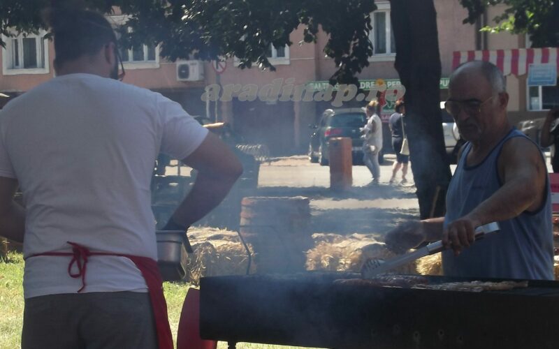 Made in Arad: harsány falunap a belvárosban