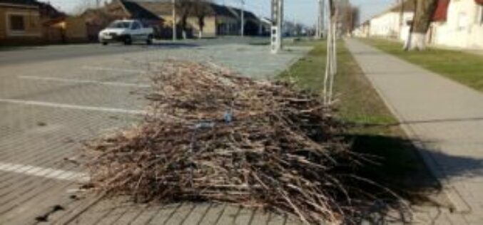 November elsejétől gyűjtik a gallyakat Pécskán