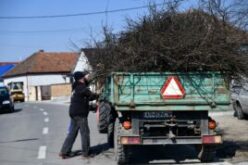 Hétfőtől gyűjtik a gallyakat Pécskán