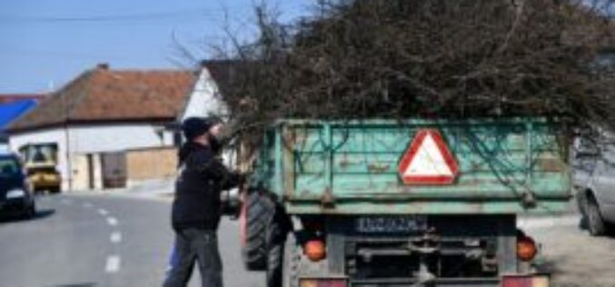 Hétfőtől gyűjtik a gallyakat Pécskán