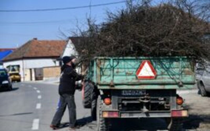 Hétfőtől gyűjtik a gallyakat Pécskán