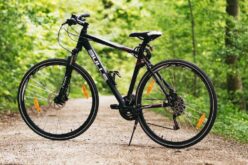 Pénzt kérnek az Arad-Pécska kerékpárútra