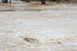Elsőfokú árvízriasztás a Maroson és a Körösökön