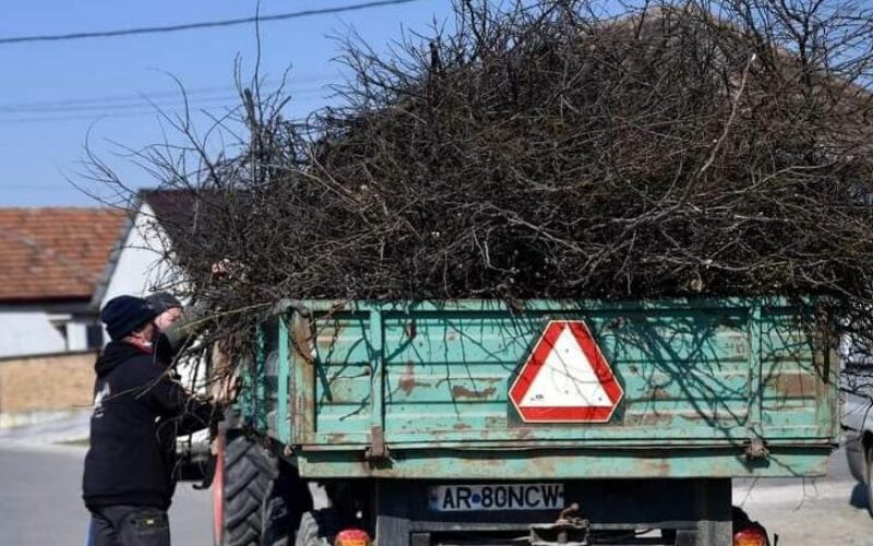 Pécskán hétfőtől elszállítják a gallyakat