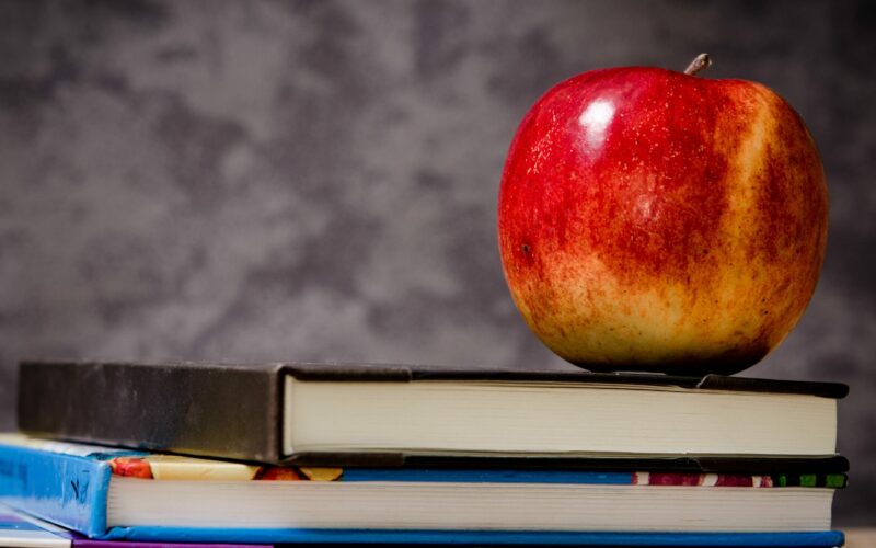 Oktatás: negatív élmezőnyben Arad