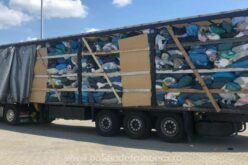 Magarországi, németországi hulladékot küldtek vissza