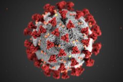 Koronavírus: helyzetjelentés