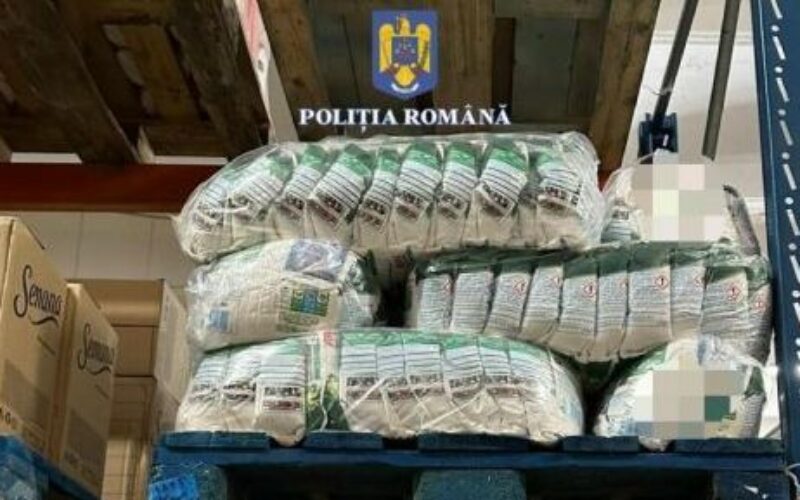 Hamisított mosószert foglalt le a rendőrség