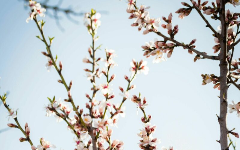 Akár 20 C-fokos meleg is lehet a héten