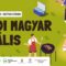 Aradi Magyar Majális