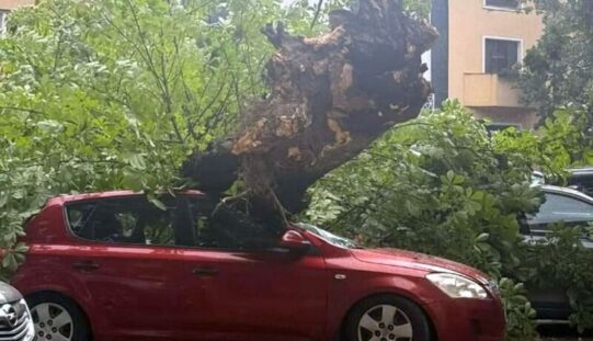 Kemény napjuk volt a tűzoltóknak