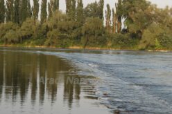 Evezés Arad és Szeged között