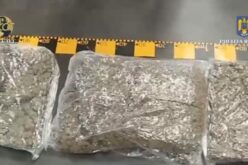 A 13 kg kokót a futár hozta