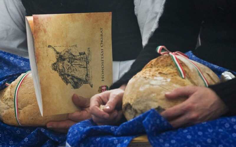 Konzuli fogadónap Aradon