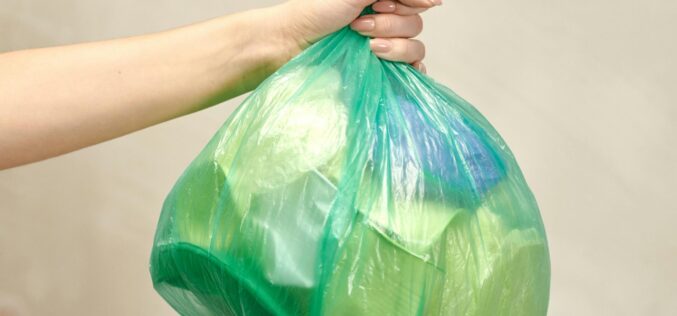 Zsebre szemétkedett